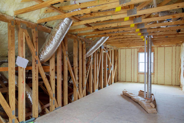 Best Types of Insulation in Horizon West, FL