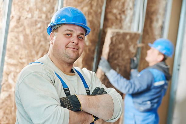 Best Insulation Maintenance and Repair in Horizon West, FL